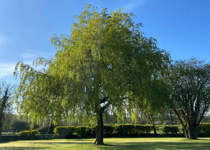 Willow Cashel- Rock View-sleeps 8 Guests-spacious- Cosy * キャッシェル